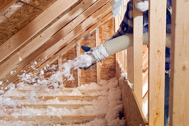 Best Insulation Air Sealing in USA